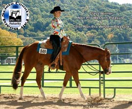 Andrea Kegley on Zip Free and Flirt