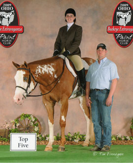 Bonanzas Gone Dirty - Ohio Horse for sale.