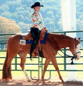 Cat Nip Zip - Ohio Horse for sale.