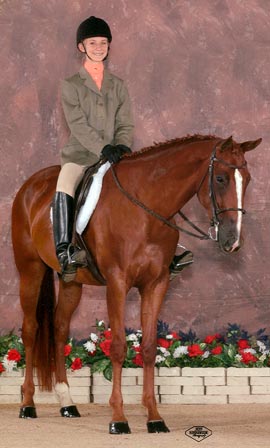 Details Specialty - Ohio Horse for sale.