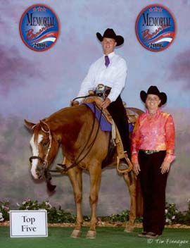 Cat Nip Zip - Show horse.
